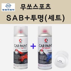 sab700carrybag