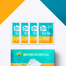 블루캐롯 아이케어티슈 눈꺼풀세정제, 3매