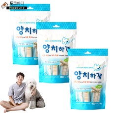 양치하개 덴탈케어 스케일링 유산균 14p 24p 강아지 양치 덴탈껌, 3개, 스케일링 14p (210g) - 양치하개