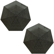 아놀드바시니우산