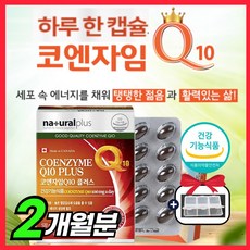 코엔자임 큐텐 10 맥스 100 mg 고큐텐 코쿠텐 큐엔자임 큐 10 텐 고 높은 혈압 항산화 플러스 비타민 C B E 고 큐텐 쿄 쿠텐 퀴논 코큐 탠 비타민 비 고엔자임 추천, 6O캡슐 x 1세트 (2개월분), 1개, 60정