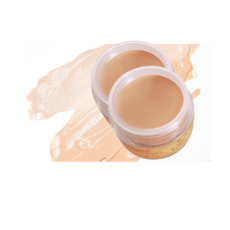 스킨푸드 연어 다크서클 컨실러 10g