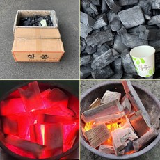 코니썸머플렉스