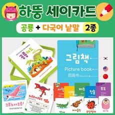 하뚱세이카드공룡카드