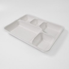 친환경 펄프 용기 5구 종이 도시락 페트 뚜껑, 친환경 펄프 용기 페트 뚜껑 300개, 1개, 1개