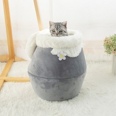부르르고양이