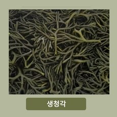 자연산 생청각 김장김치용 국내산, 2개, 400g