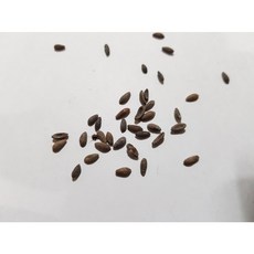 03f45a1ec96cf51a2212a5754a834c8262f0ffa8d93e515131f95e0f9b15.jpg