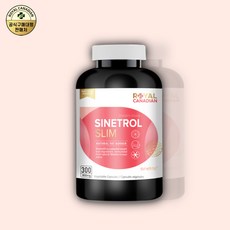 시네트롤더바디슬림