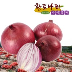 (황토나라)전남 무안 햇자색양파 3kg. 5kg 10kg 특대10kg