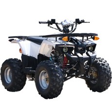 atv 4륜오토바이 4륜바이크 Ares ATV 쿼드 자전거 125cc 산악 자전거 모든 지형 ATV 가솔린 성인 2 인승 카트 3륜바이크, 높은 버전