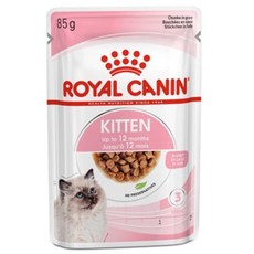 로얄캐닌습식-추천-상품