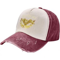 AALLYN Veni Vidi Vici I come see combed a canvoy hat 워싱 야구모자 야외 선햇 다크 레드