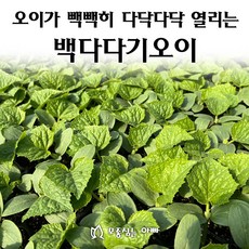 [모종심는아빠] 다...