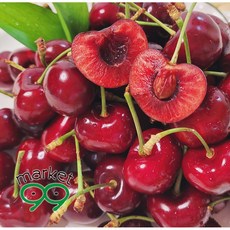 체리5키로박스구매 TOP01