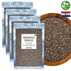 신영몰 치아시드 치아씨드 파라과이산, 4개, 500g
