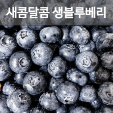 채향원블루베리
