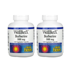 Natural Factors WellBetX 베르베린 500mg / 당뇨 당 수치 조절 콜레스테롤 개선 영양제, 120정, 2개