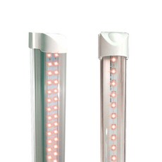 햇빛아래식물등