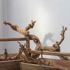 딥퍼랑스고스트오우드