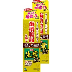일본소금치약