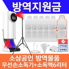 소기업 소상공인 방역물품지원금 비접촉체온계 마스크 소독제 K9pro 손소독기, (6971)방역세트A(K9듀얼+삼각+소독6)