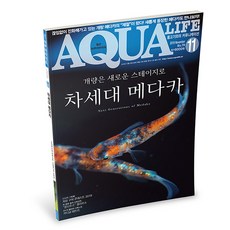 아쿠아라이프 2019년 11월호