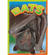 Bats Paperback, Black Rabbit Books