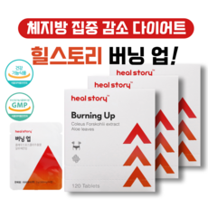 포뉴내몸애착다이어트보조제