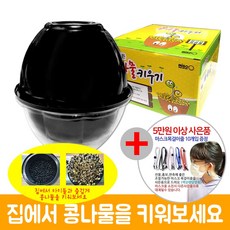 콩나물키우기관찰