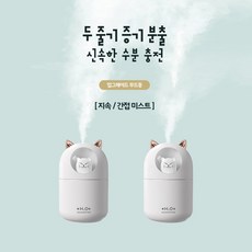 냥냥이가습기