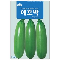 청농 애호박 씨앗 20립, 1개