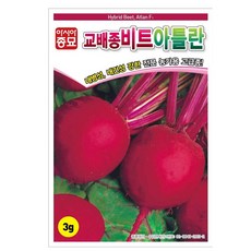 아틀란