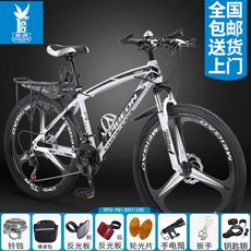 그래블전기자전거