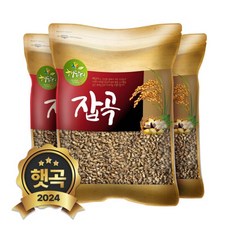2024년 햇곡 국산 흑보리 1.5kg (500gx3봉) 검정찰보리, 3개