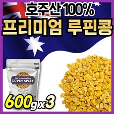 호주 루비니핀 루피니빈콩 루비니빈 루피리빈 루비니콩, 3개, 600g - 골드콩