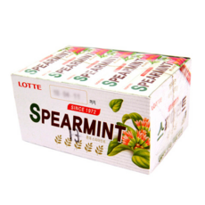 롯데제과 스피아민트 껌, 26g, 480개