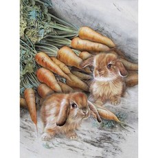 FIYO 보석 십자수 30x40cm 사각/원형 DIY유아 장난감 JX, 1set, j-No.02당근 과 토끼(Square)