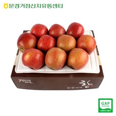 [문경APC] 새재의 아침 문경 사과 부사 2.5kg 9-10과 / 실중량, 1개