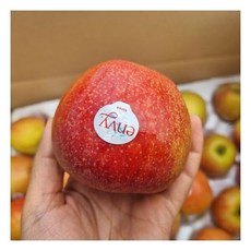  삼대장 예산 엔비사과 (정품) 5kg(24과내외) 높은당도 적당한산도 