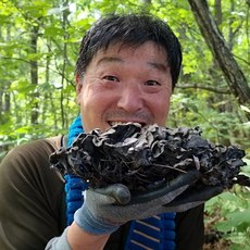 24년 국내 자연산 건조까치버섯 50g 2만원 잡채 요리에 최고입니다, 1개