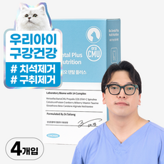 마싯츄 고양이 구강 덴탈, 4개 - 마싯츄