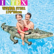 에어바운스악어