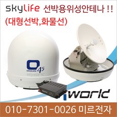 선박용스카이라이프