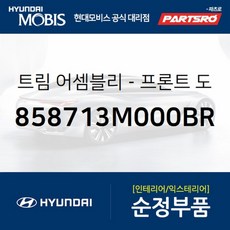 816853s000