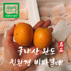 완도 무농약 비파 열매 친환경 비파열매 1kg