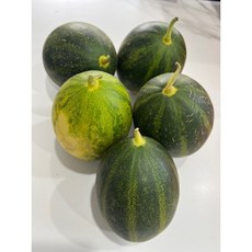 파파야메론