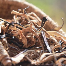 말린가지꼭지효능