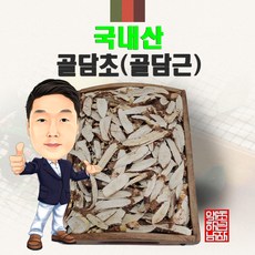 국내산 골담초 300g (경북 영천) 국산