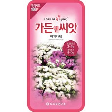 불로화